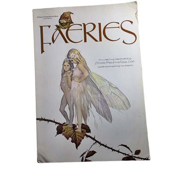 The Book Of The Dragon & Faeries Illustrated Books fantasy mythical magical - Picture 3 of 11